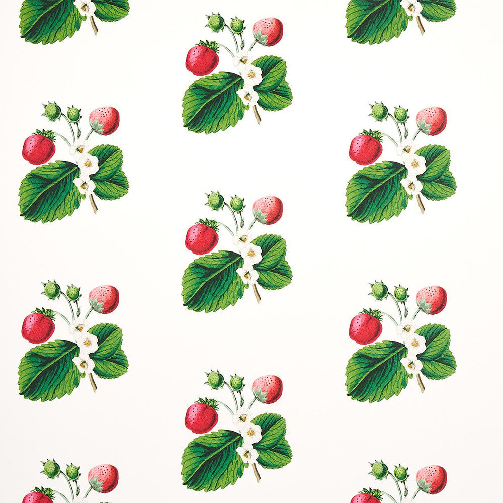 Strawberry Hill White 5014320 by Schumacher Wallpaper Johnson Hartig 6.88" - Fabric Carolina -