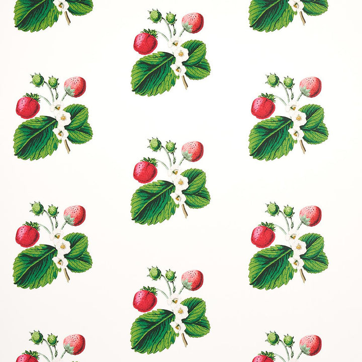 Strawberry Hill White 5014320 by Schumacher Wallpaper Johnson Hartig 6.88" - Fabric Carolina -
