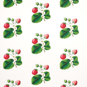 Strawberry Hill White 5014320 by Schumacher Wallpaper