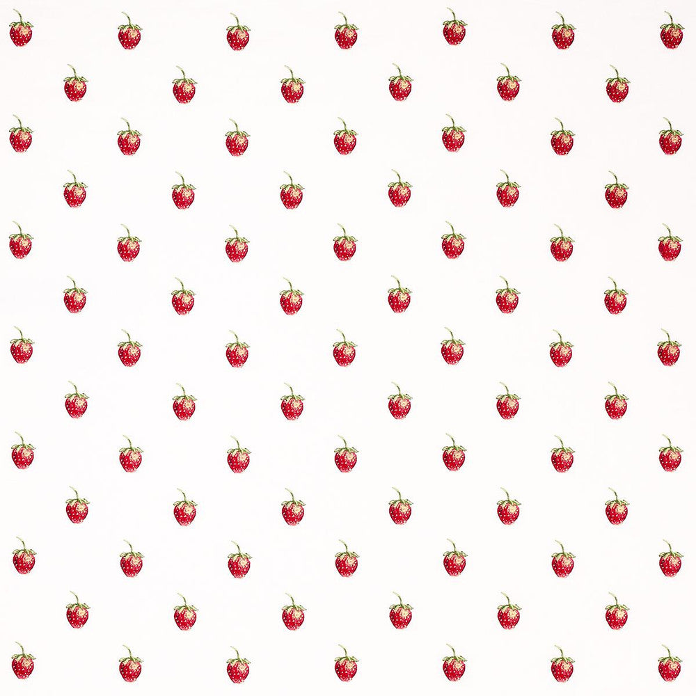 Freshie Fresh Ivory 82280 by Schumacher Fabric Johnson Hartig 8.0" - Fabric Carolina -