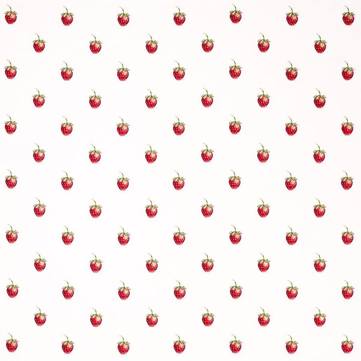 Freshie Fresh Ivory 82280 by Schumacher Fabric Johnson Hartig 8.0" - Fabric Carolina -