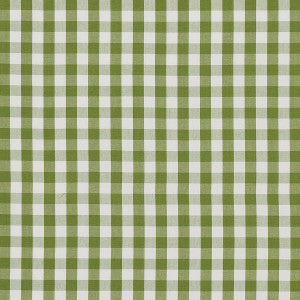Elton Cotton Check Leaf 63071 by Schumacher Fabric