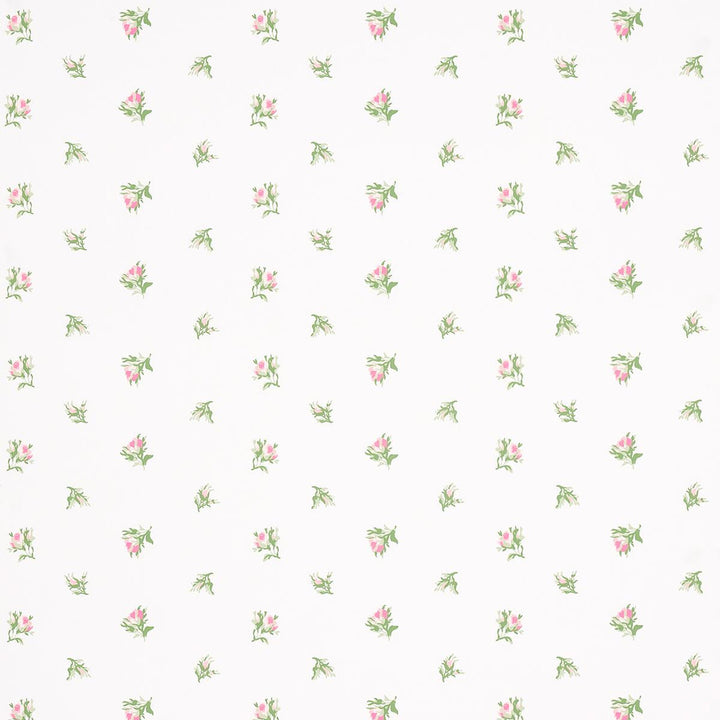 Margie Floral Rose 5014742 by Schumacher Wallpaper New Old-Fashioned 9.0" - Fabric Carolina -