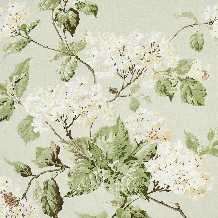 Summer Hydrangea Celadon 180820 by Schumacher Fabric New Old-Fashioned 27.0" - Fabric Carolina -