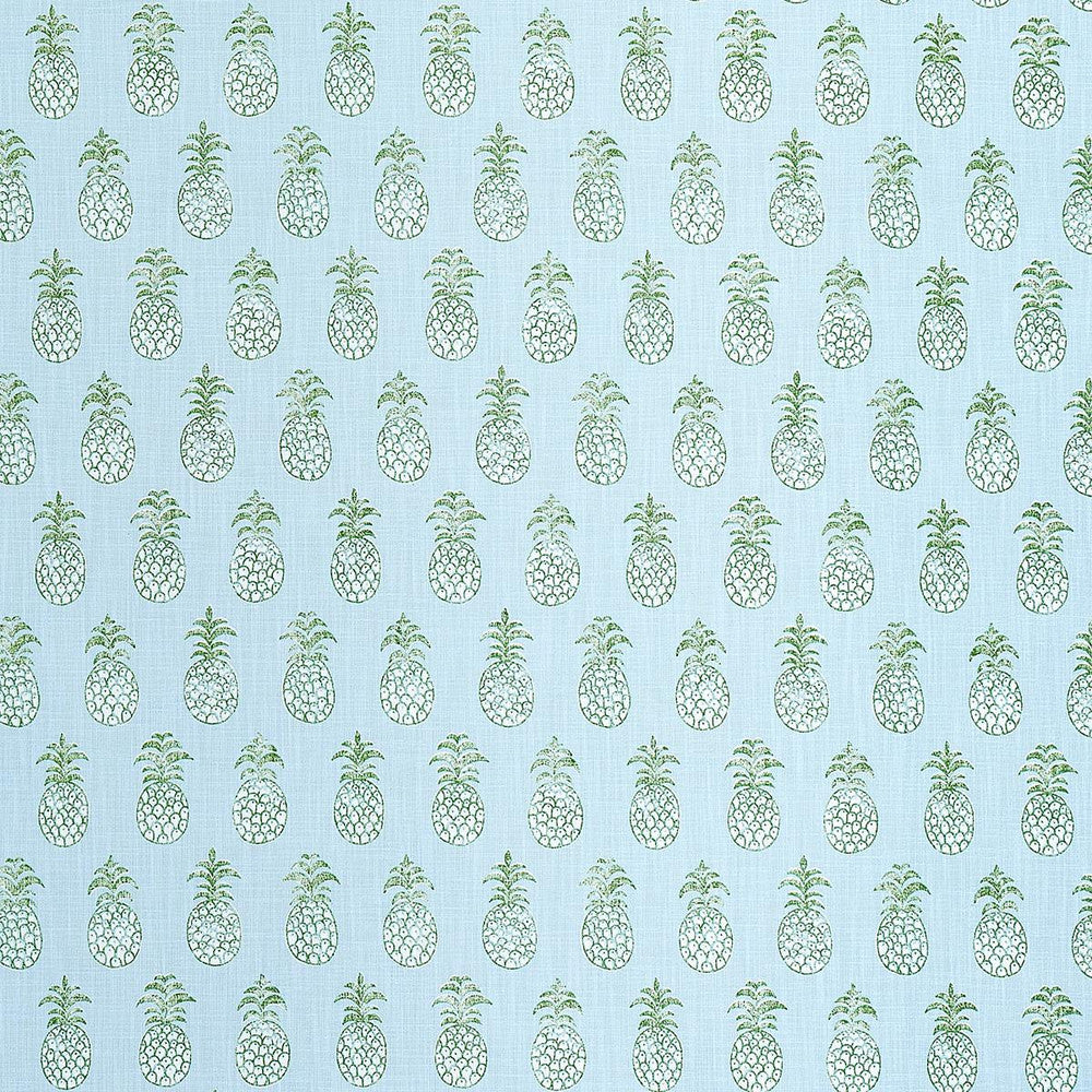 Pia Cove Indoor/Outdoor Aquamarine 181020 by Schumacher Fabric Isola Indoor/Outdoor 7.75" - Fabric Carolina -