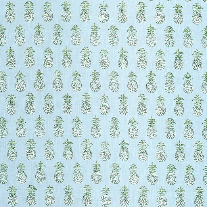Pia Cove Indoor/Outdoor Aquamarine 181020 by Schumacher Fabric Isola Indoor/Outdoor 7.75" - Fabric Carolina -