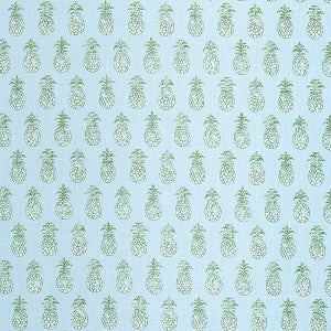 Pia Cove Indoor/Outdoor Aquamarine 181020 by Schumacher Fabric