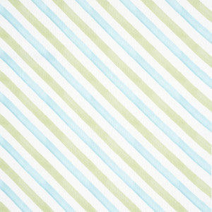 Seaside Stripe Indoor/Outdoor Kiwi 181261 by Schumacher Fabric