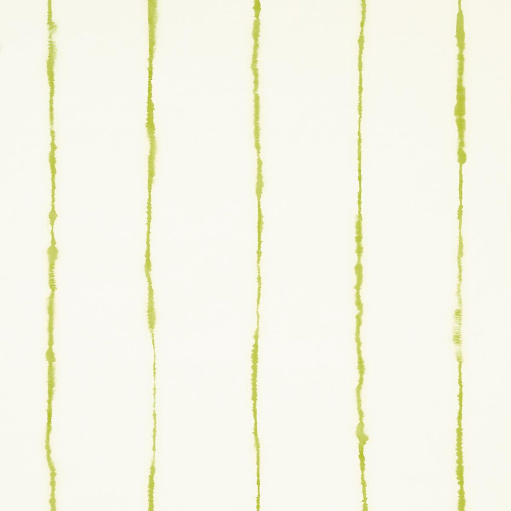 Ephemera Chartreuse 5014871 by Schumacher Wallpaper Backdrop 27.0" - Fabric Carolina -