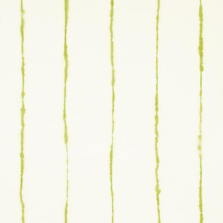 Ephemera Chartreuse 5014871 by Schumacher Wallpaper Backdrop 27.0" - Fabric Carolina -