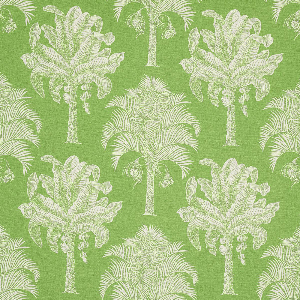 Grand Palms Indoor/Outdoor Green 180960 by Schumacher Fabric Swing Time Indoor/Outdoor 13.62" - Fabric Carolina -