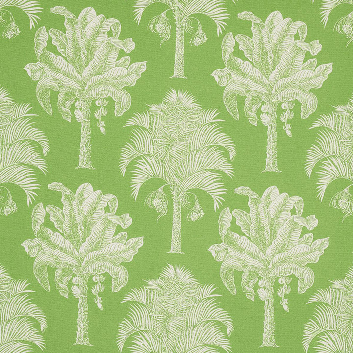 Grand Palms Indoor/Outdoor Green 180960 by Schumacher Fabric Swing Time Indoor/Outdoor 13.62" - Fabric Carolina -