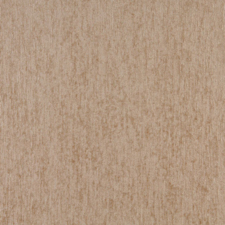 6884 Taupe by Charlotte Fabric Chenille Inspirations IV & Ring Book Page #50 58% Acrylic, 42% Polyester Canada Exceeds 100,000 Wyzenbeek Rubs (Heavy Duty) No Repeat 54 Inches - Fabric Carolina -