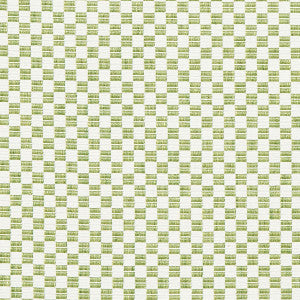 Elkhart Leaf 76744 by Schumacher Fabric