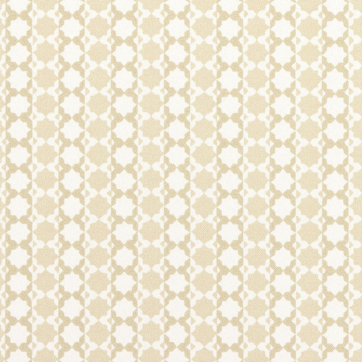 Posy Indoor/Outdoor Neutral 180752 by Schumacher Designer Fabric Mark D. Sikes 9.0" - Swanky Fabrics -