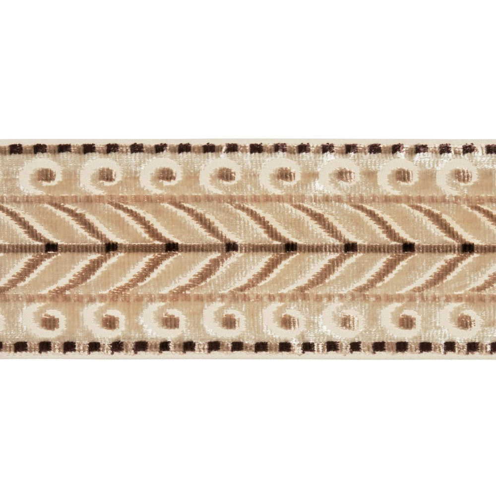 Marion Velvet Tape Champagne 77624 by Schumacher Designer Trim Cut & Patterned Velvets - Swanky Fabrics -