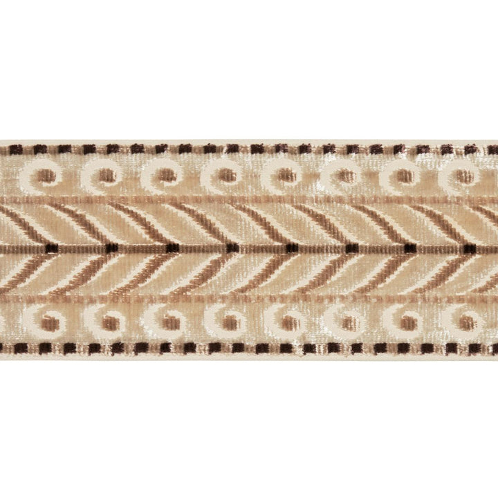 Marion Velvet Tape Champagne 77624 by Schumacher Trim Cut & Patterned Velvets - Fabric Carolina -