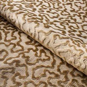 Janis Velvet Champagne 75224 by Schumacher Fabric