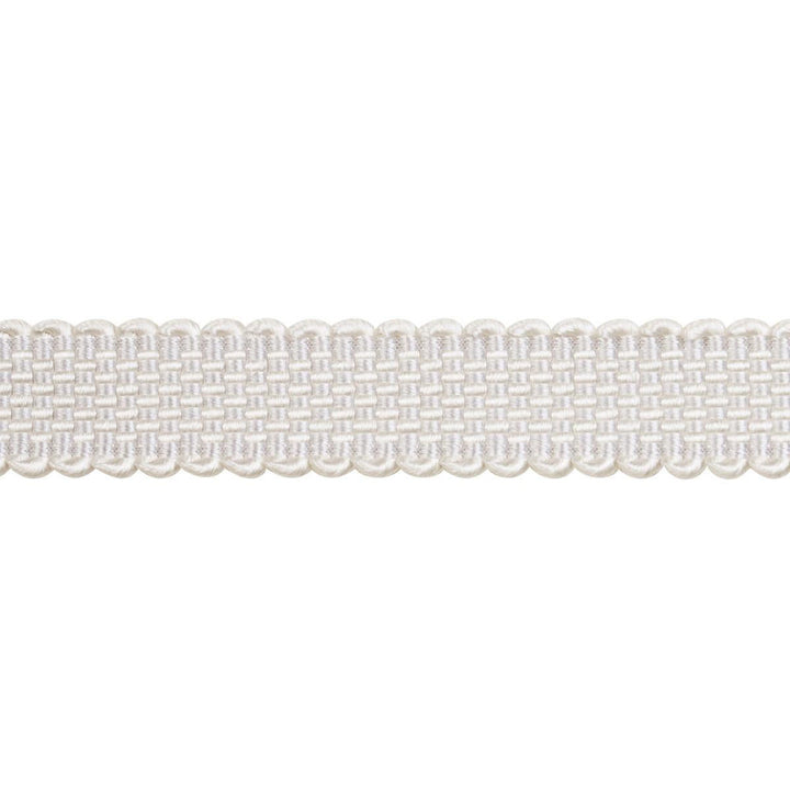 Frances Silk Gimp Grey 83361 by Schumacher Trim Patterson Flynn - Fabric Carolina -