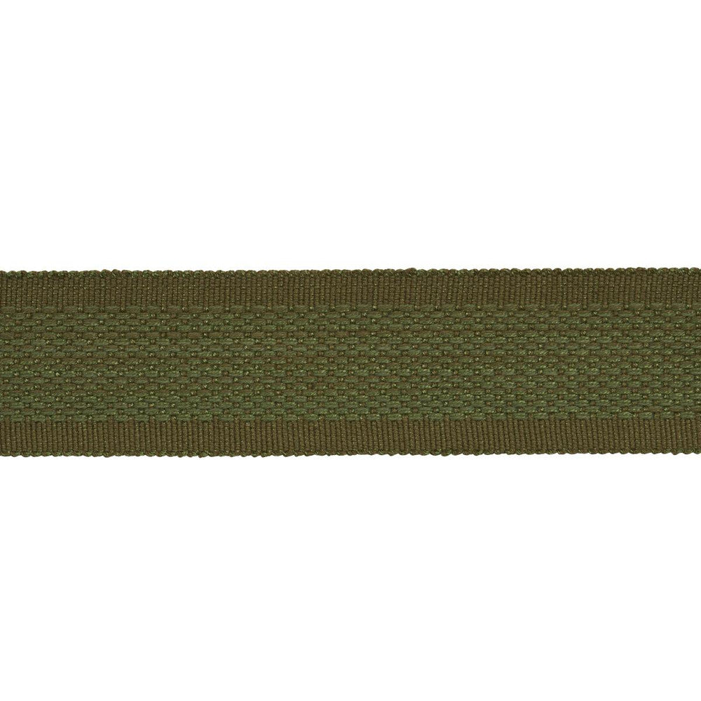 Cardiff Tape Green 83383 by Schumacher Trim Patterson Flynn 1.0" - Fabric Carolina -
