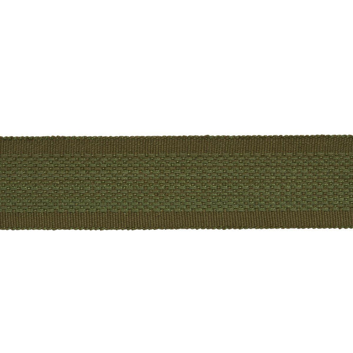 Cardiff Tape Green 83383 by Schumacher Trim Patterson Flynn 1.0" - Fabric Carolina -