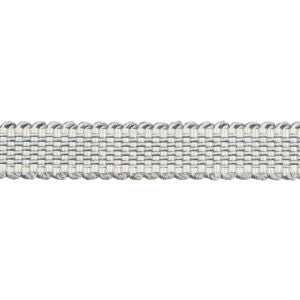 Frances Silk Gimp Mineral 83362 by Schumacher Trim