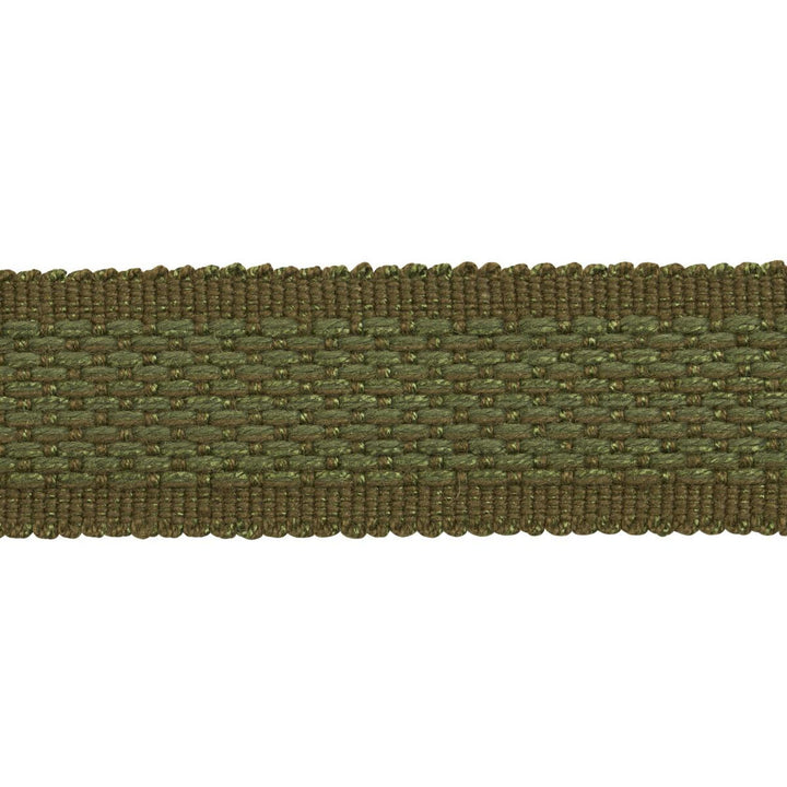 Cardiff Tape Medium Green 83393 by Schumacher Trim Patterson Flynn 1.0" - Fabric Carolina -