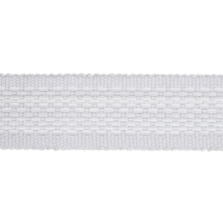 Cardiff Tape Medium Grey 83394 by Schumacher Trim Patterson Flynn 1.0" - Fabric Carolina -