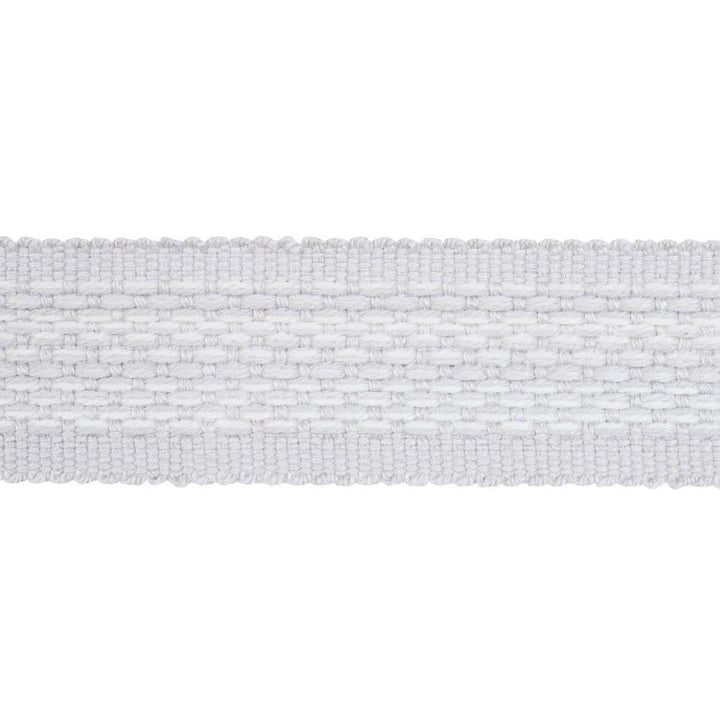 Cardiff Tape Medium Grey 83394 by Schumacher Designer Trim Patterson Flynn 1.0" - Swanky Fabrics -