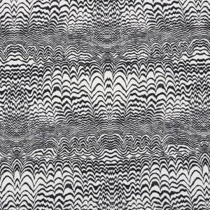 Ink Wave Print Indoor/Outdoor Black 181052 by Schumacher Fabric