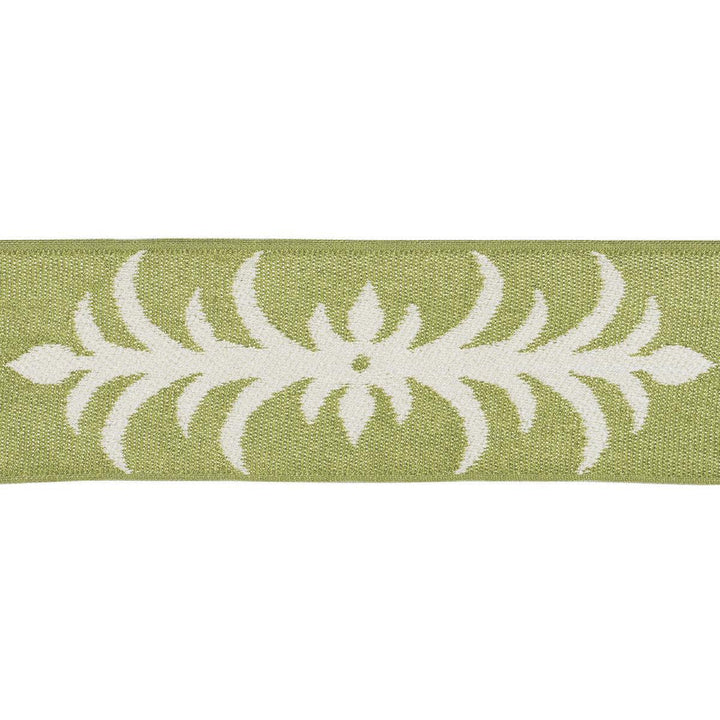 Acanthus Tape Romaine 75445 by Schumacher Designer Trim Celerie Kemble 9.5" - Swanky Fabrics -