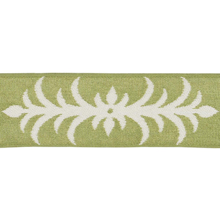 Acanthus Tape Romaine 75445 by Schumacher Trim Celerie Kemble 9.5" - Fabric Carolina -