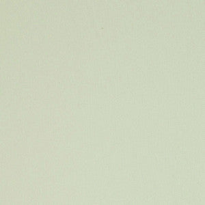 Elliott Brushed Cotton Chamois 69494 by Schumacher Fabric