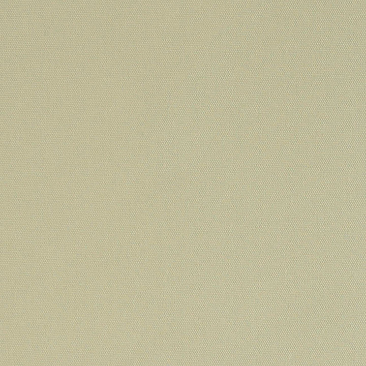 Elliott Brushed Cotton Rattan 69498 by Schumacher Fabric PERFECT BASICS: ELLIOTT See Sample INDIA MEDIUM </p><p>Repeat: Horizontal: - and Vertical: - 55 7/8" (142CM) - Fabric Carolina -