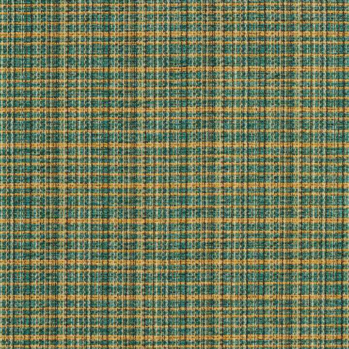 6951 Cypress by Charlotte Designer Fabric Ring Book Page #24A 100% Woven Polyester Asia Exceeds 70,000 Wyzenbeek Rubs (Heavy Duty) Horizontal: 2" x Vertical: 2" 54 Inches - Swanky Fabrics -