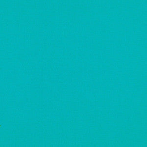 Elliott Brushed Cotton Teal 69538 by Schumacher Fabric