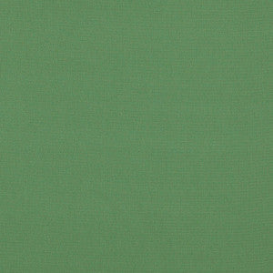 Elliott Brushed Cotton Pesto 69542 by Schumacher Fabric