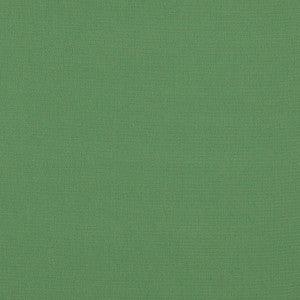 Elliott Brushed Cotton Pesto 69542 by Schumacher Fabric