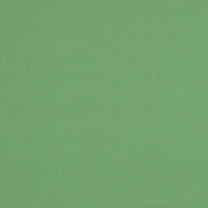 Elliott Brushed Cotton Basil 69544 by Schumacher Fabric