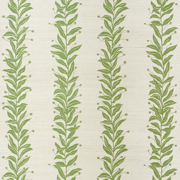 Tendril Stripe Sisal Olive 5015560 by Schumacher Designer Wallpaper Marian Mcevoy 17.0" - Swanky Fabrics -