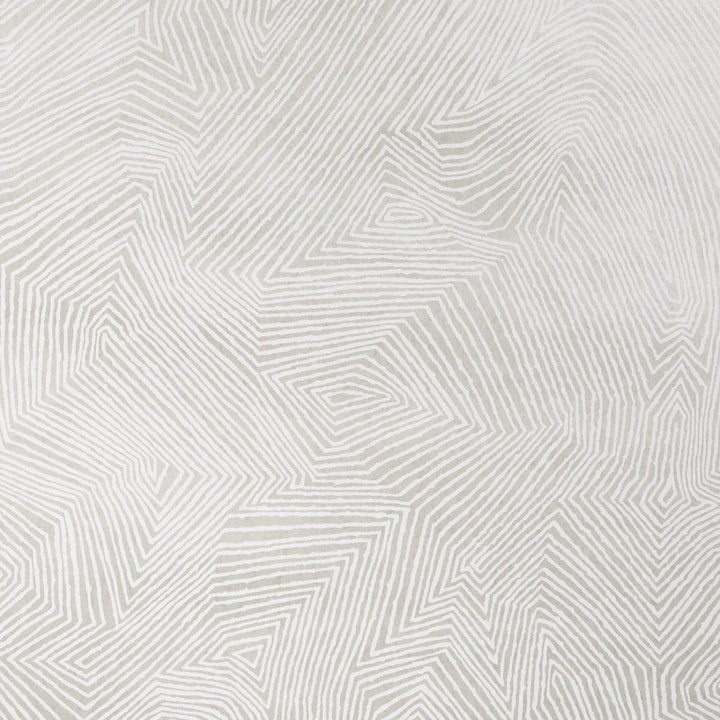 Labyrinth Grand Soft Silver 5015432 by Schumacher Wallpaper Earth And Sky 27.0" - Fabric Carolina -