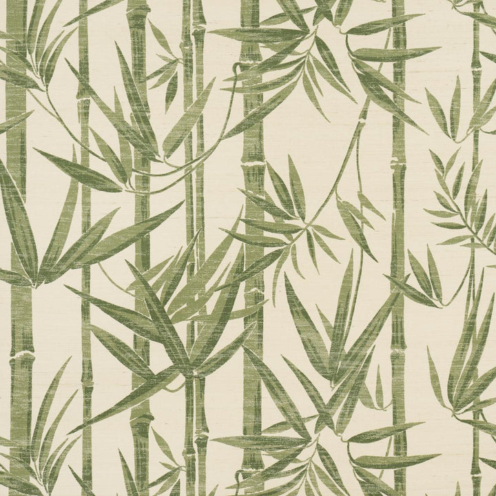 Les Bambous Sisal Green 5008313 by Schumacher Wallpaper Jacaranda 33.5" - Fabric Carolina -