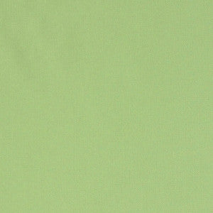 Elliott Brushed Cotton Lime 69545 by Schumacher Fabric
