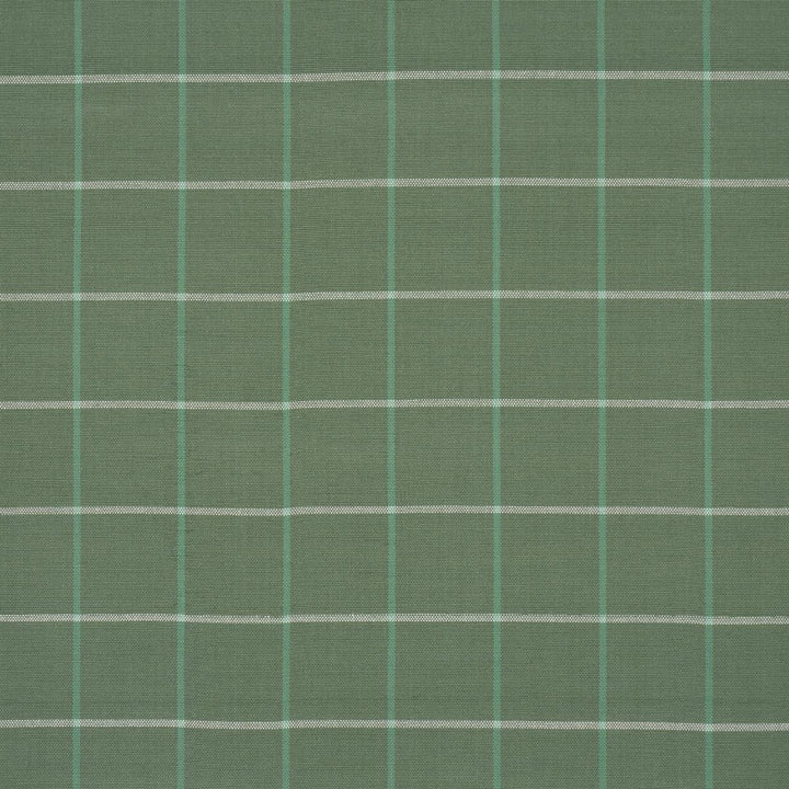 Frannie Windowpane Green 83783 by Schumacher Fabric Mark D. Sikes 3.0" - Fabric Carolina -