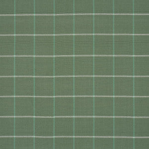Frannie Windowpane Green 83783 by Schumacher Fabric