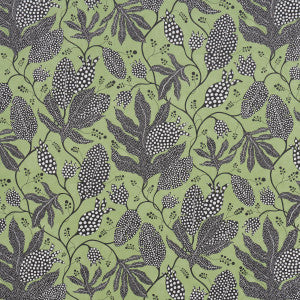Polka Dot Jungle Black & Green 5015460 by Schumacher Wallpaper