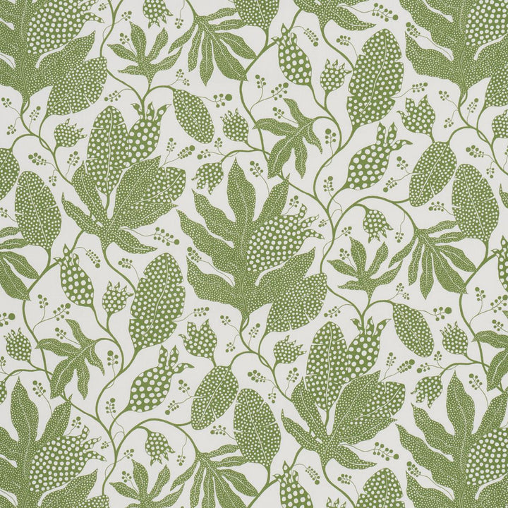 Polka Dot Jungle Green & Ivory 5015463 by Schumacher Wallpaper Marian Mcevoy 18.0" - Fabric Carolina -