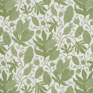 Polka Dot Jungle Green & Ivory 5015463 by Schumacher Wallpaper