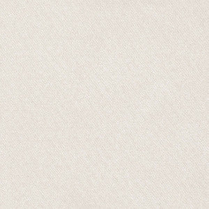 Blake Polished Cotton Ecru 69564 by Schumacher Fabric