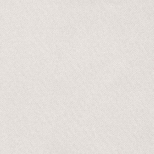 Blake Polished Cotton Herb 69565 by Schumacher Fabric